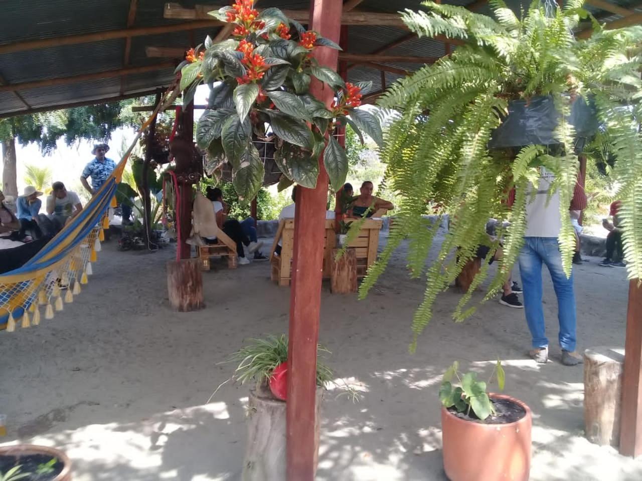 Pachingo La Primavera Villavieja Værelse billede
