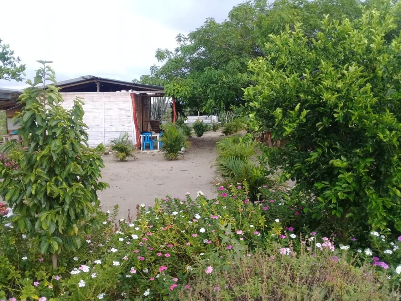 Pachingo La Primavera Villavieja Værelse billede